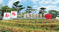 【行业资讯】南阳一个值得三顾的地方！“丹江水”“仙草艾”成为 “南阳礼物”新爆款！